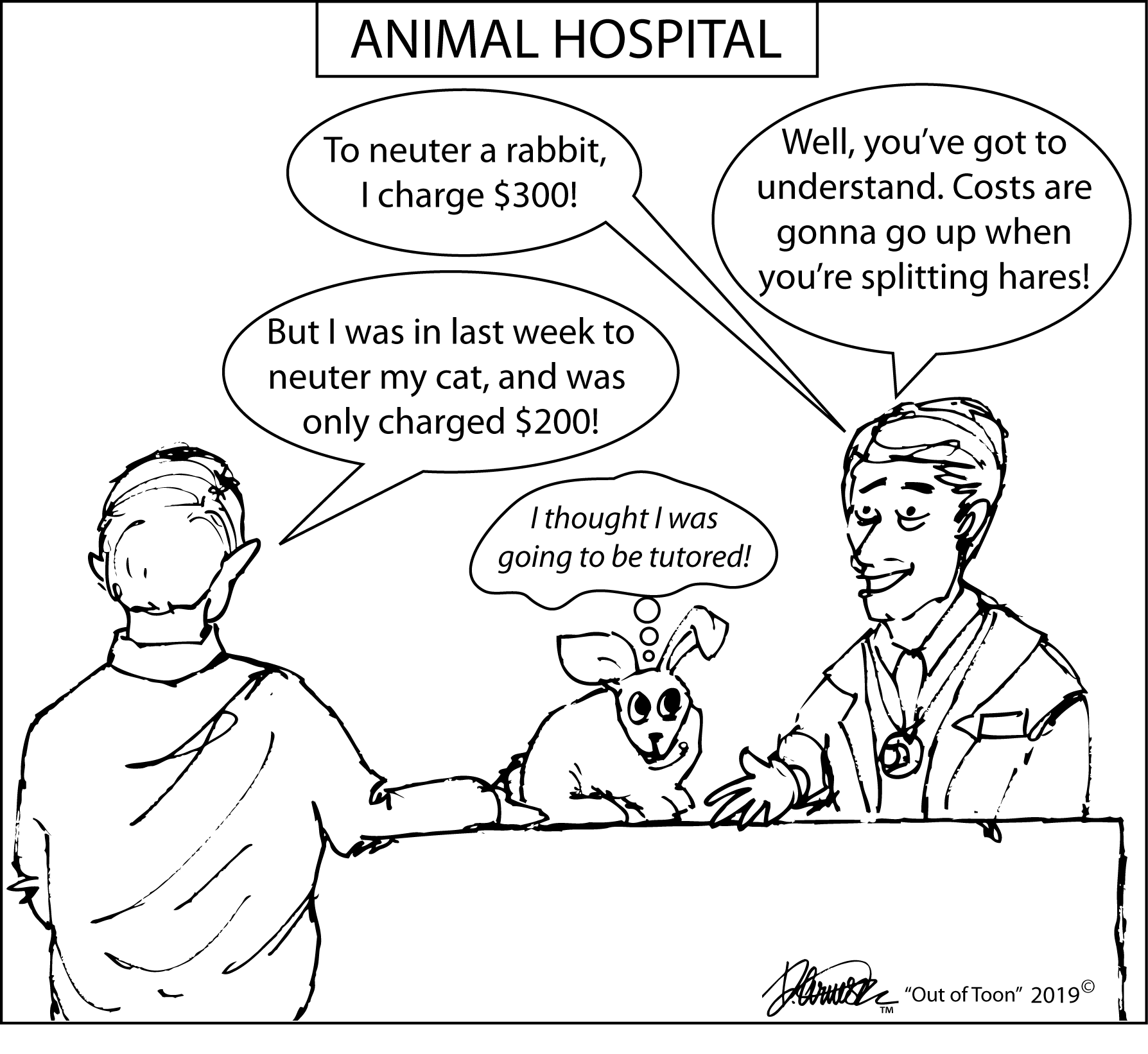 Vet explaining high costs to rabbit owner